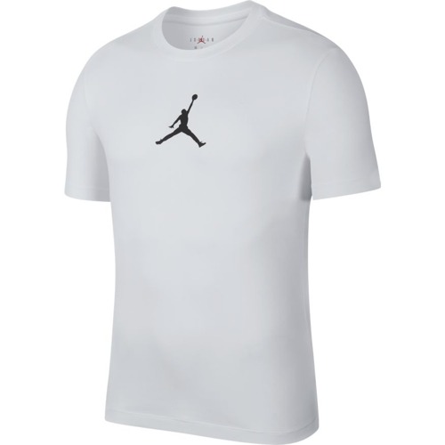 Air Jordan Jumpman Dri-FIT T-Shirt - BQ6740-100