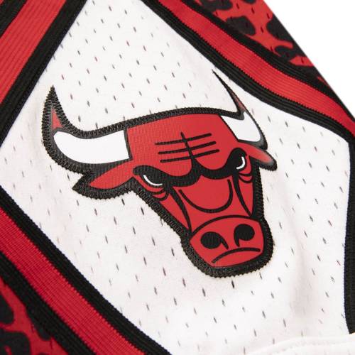 Mitchell & Ness Men's Chicago Bulls Wild Life - SMSHDL19083-CBURED197