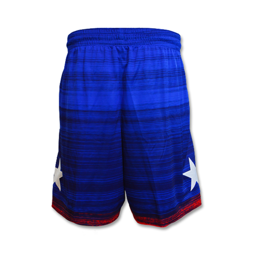 Nike USA Limited Shorts Road - CQ0176-451