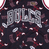 Mitchell & Ness Tear Up Pack Jersey Chicago Bulls