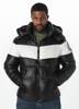 Pit Bull West Coast Cosmo Quilted Winter Jacket - 521103900