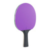 Table tenis set 2 paddles 8 balls JOOLA Colorato - 54814