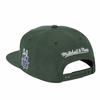 Mitchell & Ness Milwaukee Bucks Snapback Green