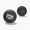 Wilson Staff Premium Balls Single Blue Dot 2 Pieces - WRT617500