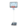 Spartan Portable Basketball Stand - 1158 + Wilson Basketball