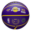 Wilson Player Icon Basketball Lebron James LA LAKERS - WZ4027601XB