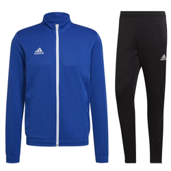 Adidas Tiro 19  Pantaloni tuta - D95951