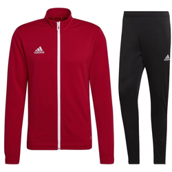 Adidas Tiro 19  Pantaloni tuta - D95951