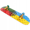 HARRY POTTER Hogwart's Houses Skateboard for Kids - 805