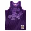 Mitchell & Ness NBA Jersey Swingman Monochrome Hyper Hoops NBA Toronto Raptors Vince Carter - TFSM1280-TRA98VCAPURP