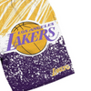 Mitchell & Ness NBA Los Angeles Lakers Shorts - SHORAJ19071-LALPURP