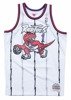 Mitchell & Ness NBA Toronto Raptors Tracy McGrady Swingman Jersey