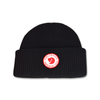 Winter Fjallraven 1960 Logo Hat - F78142-550